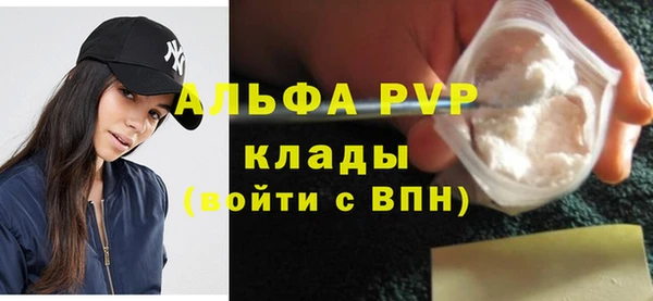 сатива Новодвинск