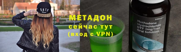 сатива Новодвинск