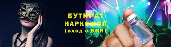 сатива Новодвинск