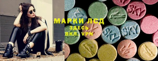 сатива Новодвинск