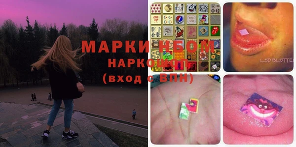 сатива Новодвинск