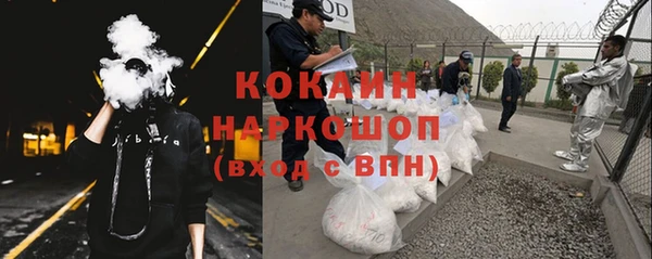 сатива Новодвинск