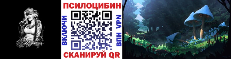 Галлюциногенные грибы Psilocybe  kraken ссылки  Талдом  купить  